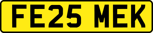 FE25MEK