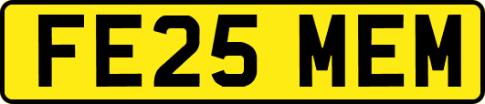 FE25MEM