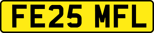 FE25MFL