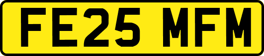 FE25MFM