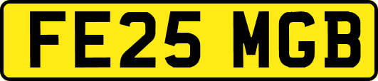 FE25MGB