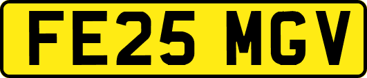 FE25MGV