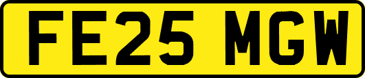 FE25MGW