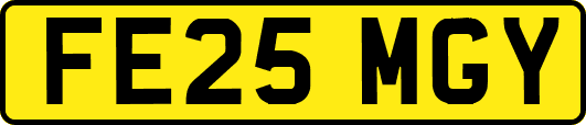 FE25MGY