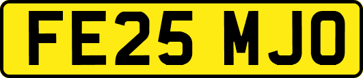 FE25MJO