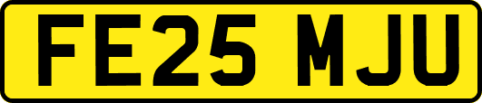 FE25MJU