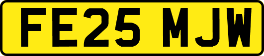 FE25MJW