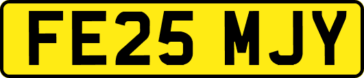 FE25MJY
