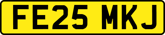 FE25MKJ