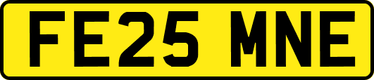 FE25MNE