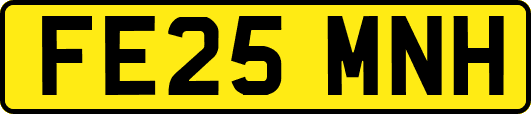 FE25MNH