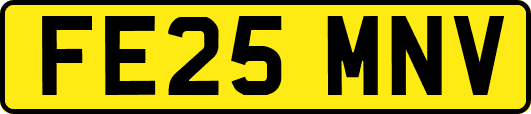 FE25MNV