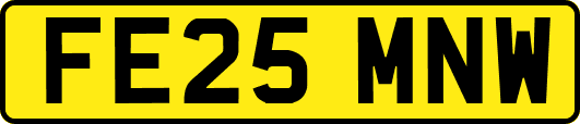 FE25MNW