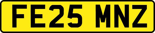 FE25MNZ