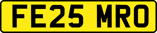 FE25MRO
