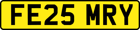 FE25MRY