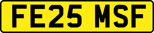 FE25MSF
