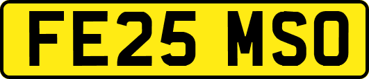FE25MSO