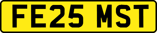 FE25MST