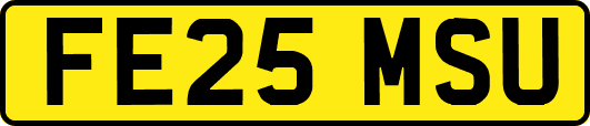 FE25MSU