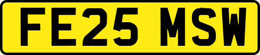 FE25MSW