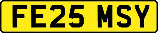 FE25MSY