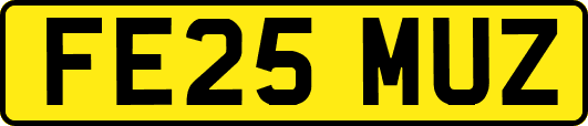 FE25MUZ