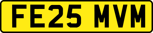 FE25MVM