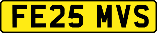 FE25MVS