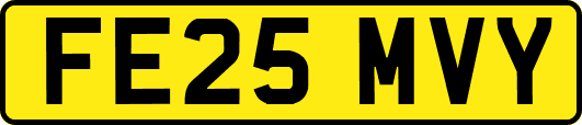 FE25MVY