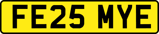 FE25MYE