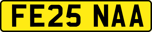FE25NAA