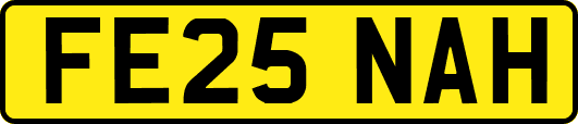 FE25NAH