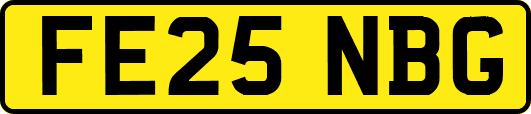FE25NBG