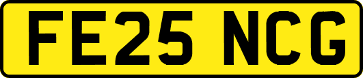 FE25NCG