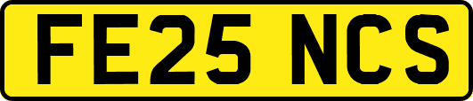 FE25NCS