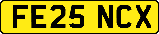 FE25NCX