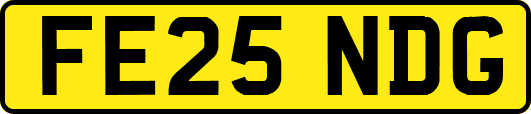 FE25NDG