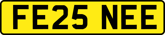 FE25NEE