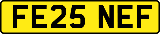 FE25NEF