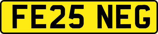 FE25NEG
