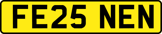 FE25NEN