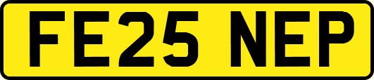 FE25NEP