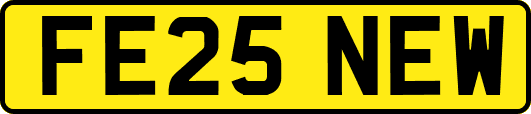 FE25NEW