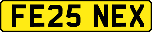 FE25NEX