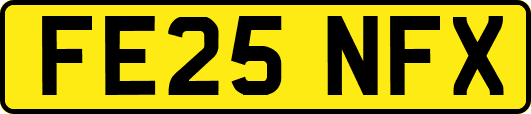 FE25NFX