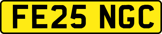FE25NGC