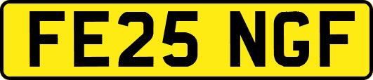 FE25NGF
