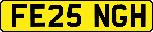 FE25NGH