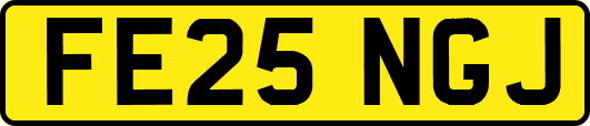 FE25NGJ